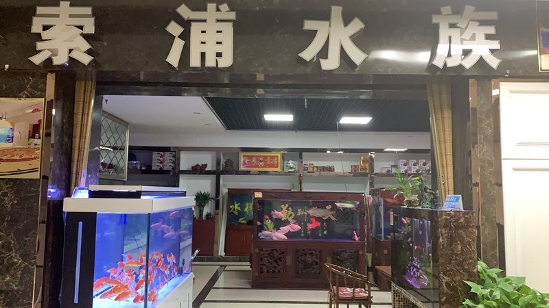 如何聯系周魚龍缸廠家？