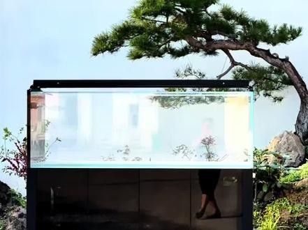 如何聯系周魚龍缸廠家？