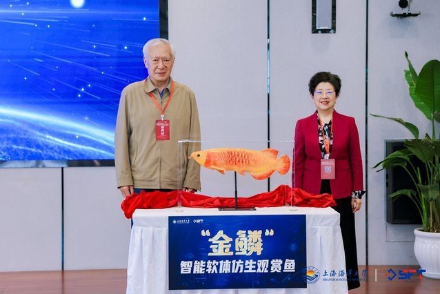 金龍魚發布會