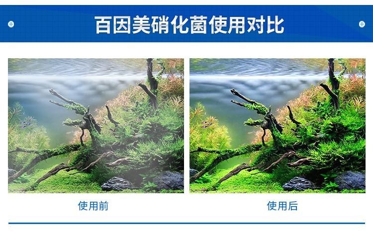 底濾魚缸的使用壽命是多少？：底濾魚缸底濾魚缸的使用壽命一般在5-10年左右