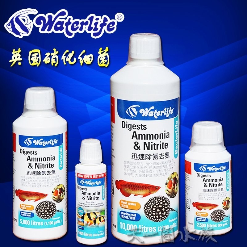 底濾魚缸的使用壽命是多少？：底濾魚缸底濾魚缸的使用壽命一般在5-10年左右
