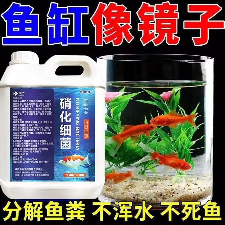 底濾魚缸的使用壽命是多少？：底濾魚缸底濾魚缸的使用壽命一般在5-10年左右