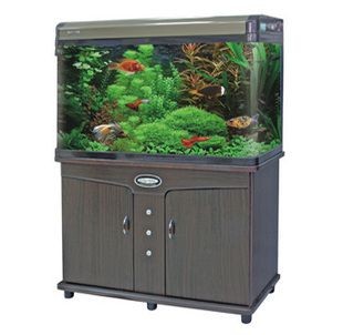 九星魚(yú)缸和閩江魚(yú)缸區(qū)別：九星魚(yú)缸與閩江九星魚(yú)缸的區(qū)別