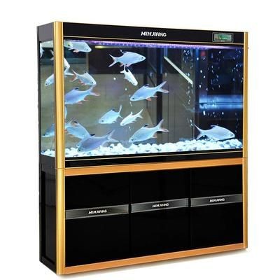 九星魚(yú)缸和閩江魚(yú)缸區(qū)別：九星魚(yú)缸與閩江九星魚(yú)缸的區(qū)別