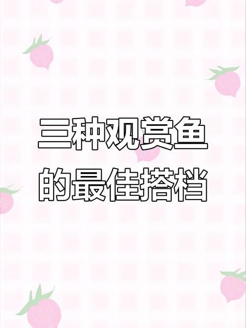 龍魚(yú)可以和虎魚(yú)混養(yǎng)嗎圖片對(duì)比