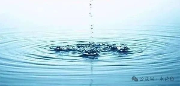 如何判斷水質是否適合觀賞蝦