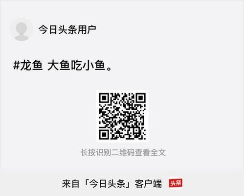 龍魚吊墜有什么講究：佩戴龍魚吊墜的好處