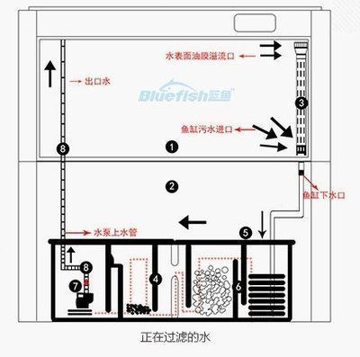 底濾魚缸原理視頻：底濾魚缸工作原理