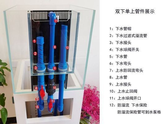 底濾魚缸原理視頻：底濾魚缸工作原理