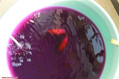 給魚缸消毒放高錳酸鉀的比例（高錳酸鉀在魚缸消毒中的使用比例）