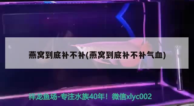 青龍魚和銀龍魚哪個(gè)好養(yǎng)（青龍魚和金龍魚哪個(gè)好）