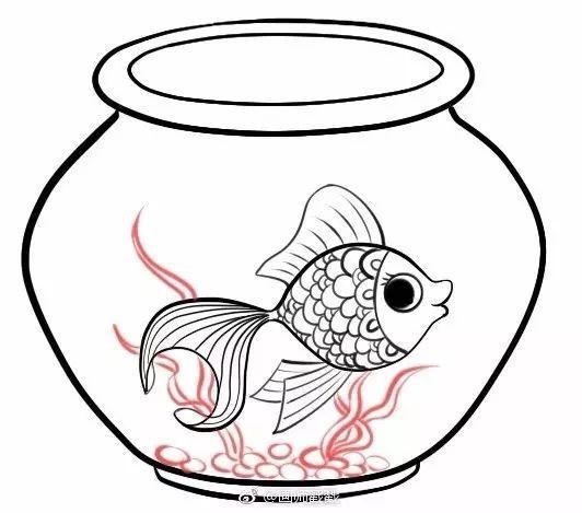 魚缸圖片簡筆畫彩色