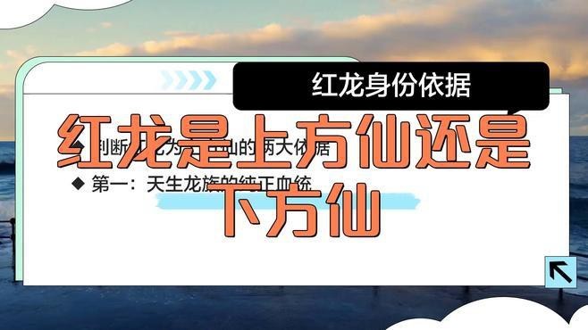 紅龍在網絡小說中扮演什么角色？