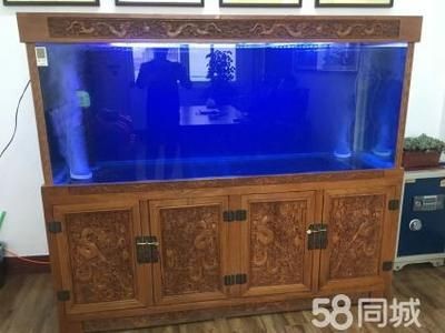 淡水魚缸的消毒方法：淡水魚缸消毒工作淡水魚缸消毒工作淡水魚缸消毒工作