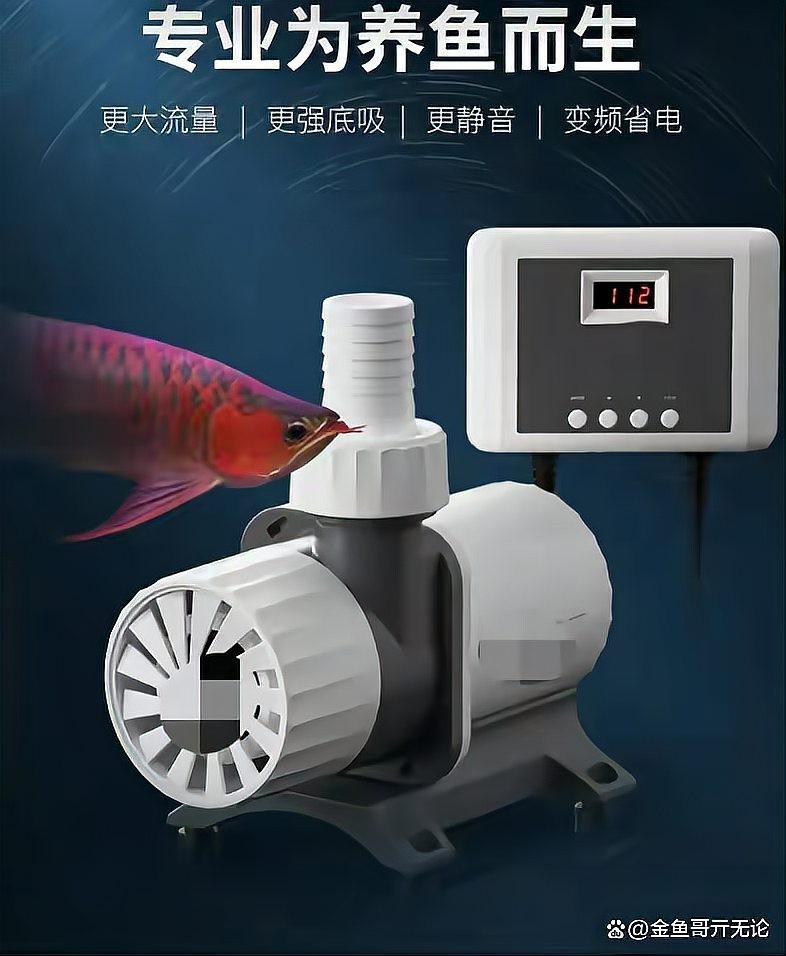 龍魚比賽水泵是雜牌子嗎