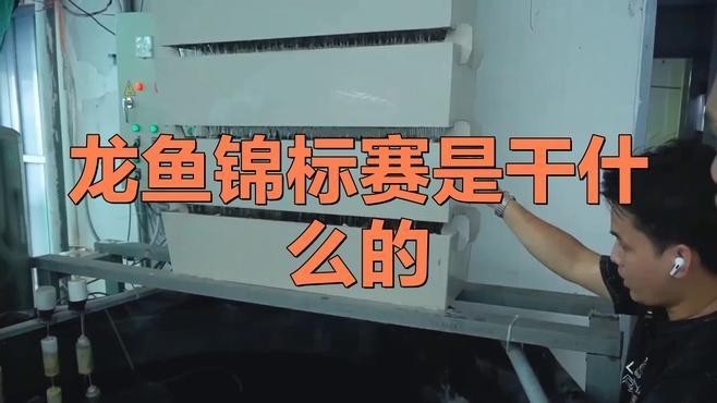 世界龍魚錦標(biāo)賽是什么