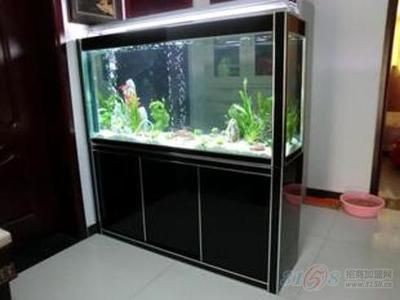 廣興水族魚缸工藝廠位于佛山南海區祖廟路33號百花廣場主樓13樓1303室：佛山廣興水族魚缸工藝廠