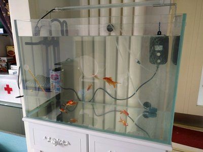 魚缸過濾系統的演變歷程：魚缸過濾系統安裝