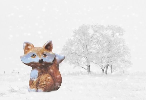 雪龍魚日常健康管理：如何保持水族箱水質清潔，雪龍魚日常光照管理技巧
