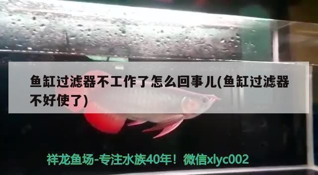 魚缸過濾器通電沒反應(yīng)：如何判斷魚缸過濾器濾芯是否堵塞，潛水型過濾器水位調(diào)整技巧