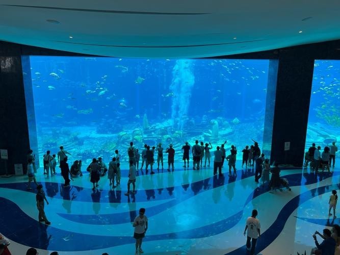 深圳水族展會