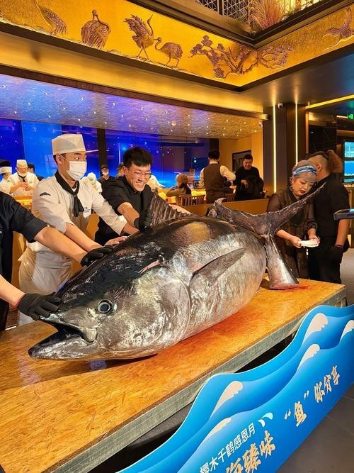 深圳水族展會