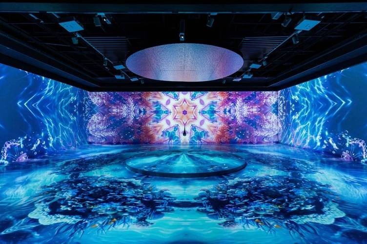 深圳水族展會