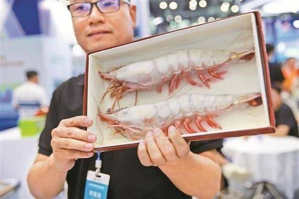 深圳水族展會