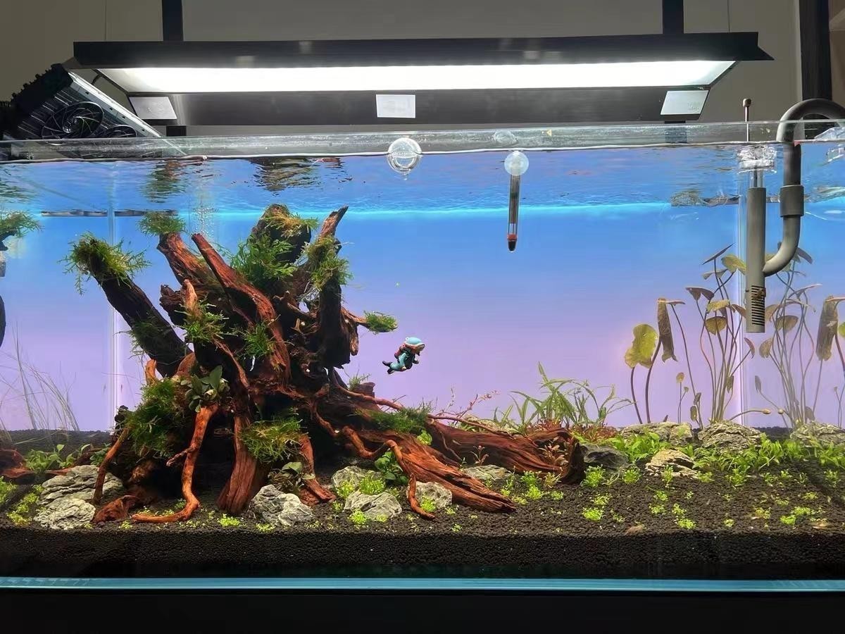 尋烏縣好運來水族館（尋烏縣好運來水族館電話號碼）
