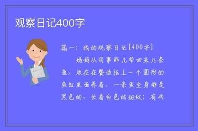 魚缸生態的構建：觀察小金魚的樂趣