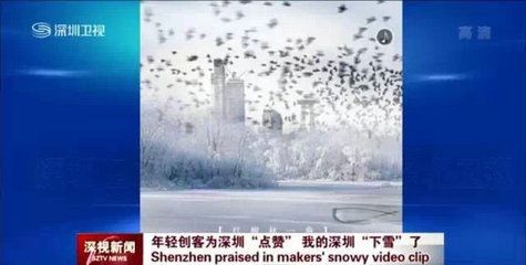 關于魚缸的文案怎么寫（關于魚缸文案的一些建議）