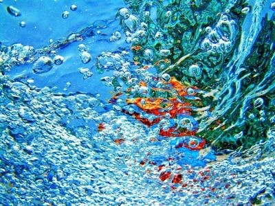 龍魚鱗片發紅的原因（龍魚鱗片發紅可能是由多種原因引起）