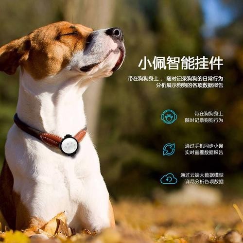 2025年有哪些寵物水族新品發(fā)布？