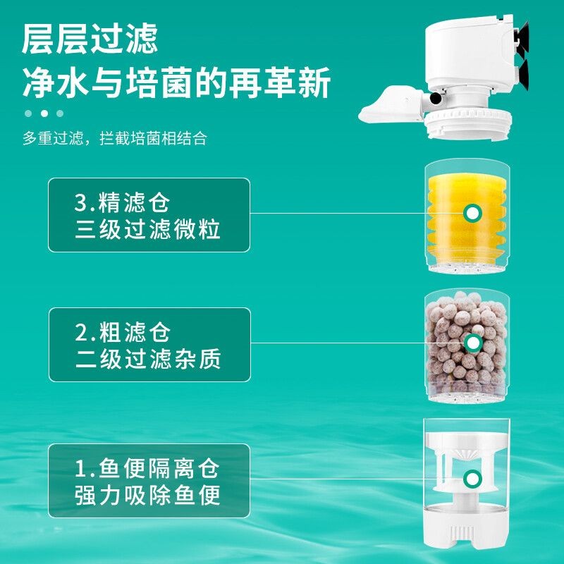 魚缸清洗的科學方法：過濾桶魚缸中的糞便吸不干凈，魚缸中的糞便吸不干凈