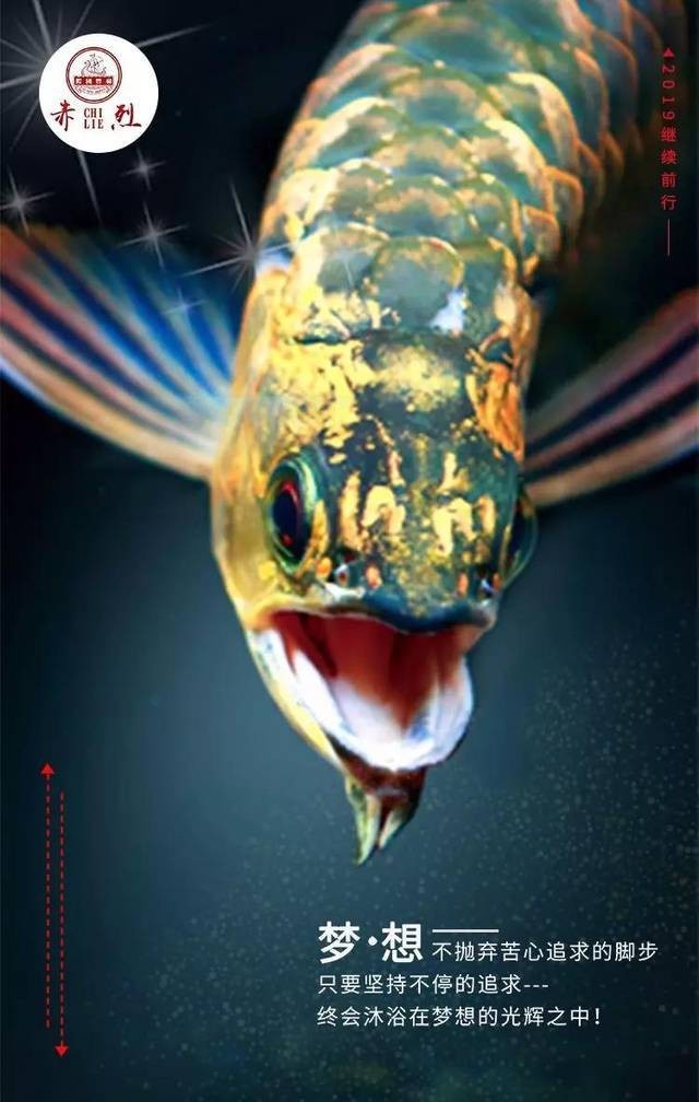 龍魚水質檢測哪些不合格的