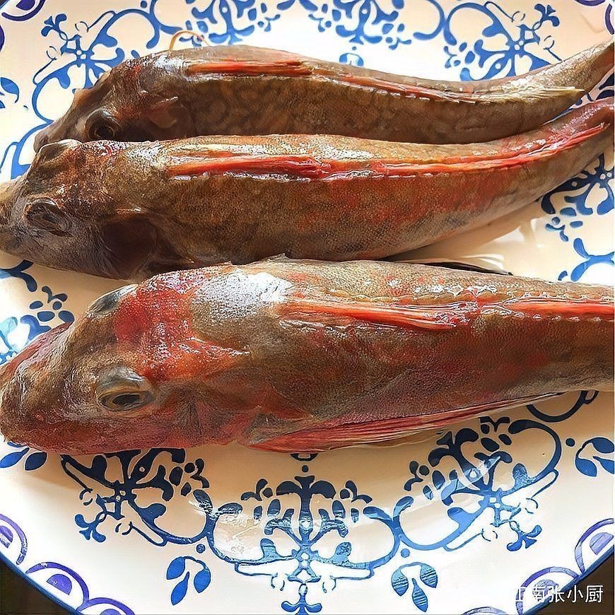 紅頭的魚(yú)是什么魚(yú)