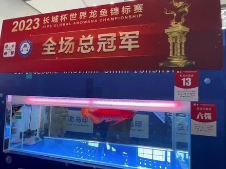 有沒(méi)有紅龍魚(yú)比賽的錄像