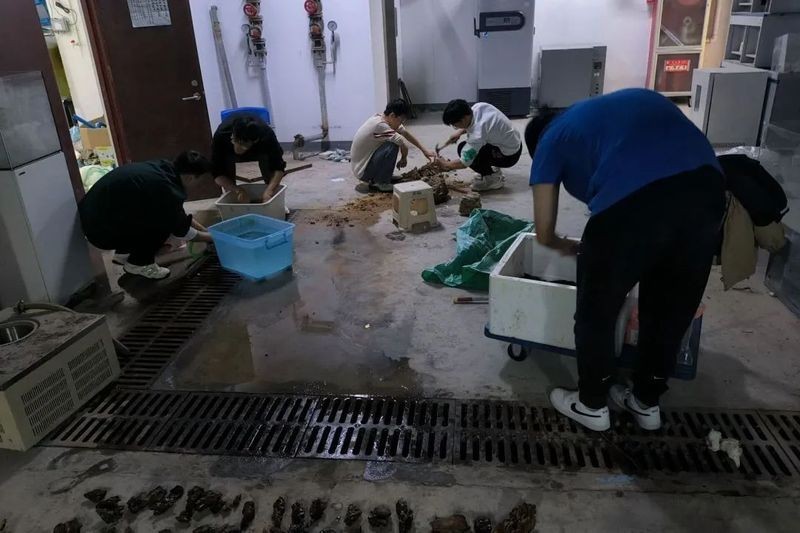 水草造景大賽的報名流程