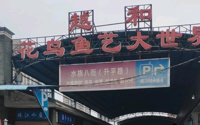 廣州觀賞魚批發(fā)市場