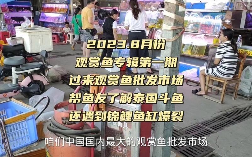 廣州觀賞魚批發市場