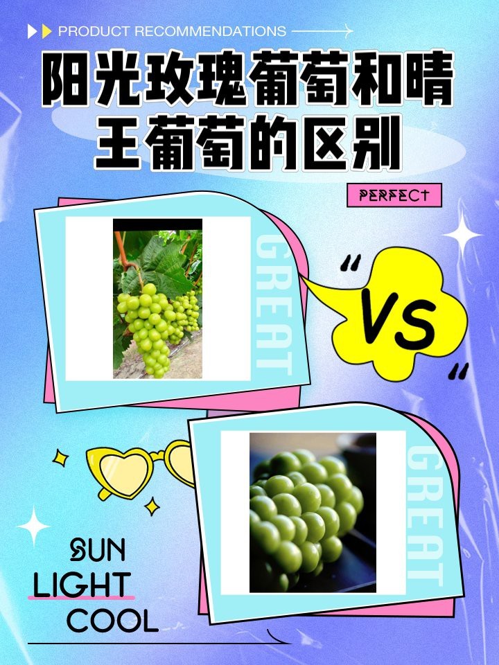 晴王貴還是陽光玫瑰貴