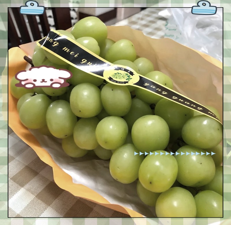 晴王貴還是陽光玫瑰貴