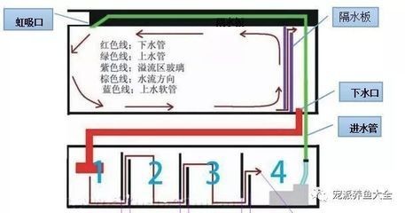魚缸的擺放位置和方向怎么選（魚缸擺放位置和方向怎么選魚缸的擺放位置和方向怎么選）