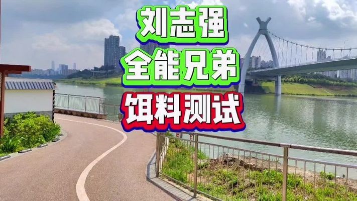 銀龍魚的好壞區別圖片(銀龍魚的好壞區別圖片視頻)