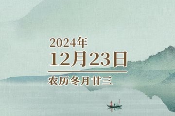 銀龍杯的歷史和演變