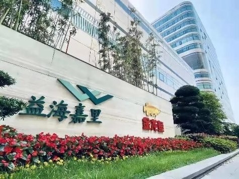 達茂旗百靈廟鎮洪森觀賞魚水族館（達茂旗百靈廟美食）