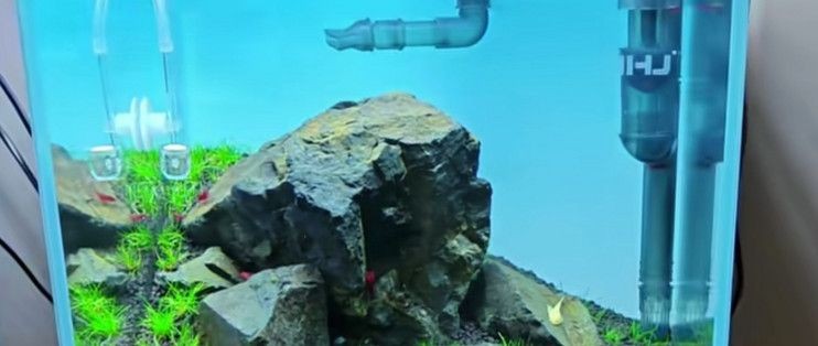德國<strong><mark>安新</mark></strong>魚缸過濾器：德國安彩魚缸過濾器