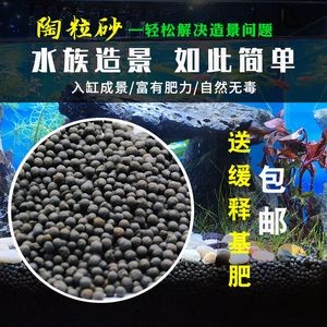 黑色背景的魚缸適合養(yǎng)多種魚類，黑魚混養(yǎng)指南黑魚混養(yǎng)指南：黑色背景的魚缸適合養(yǎng)多種魚類