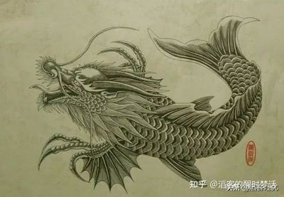 龍魚是什么時期就有的：龍魚的起源與種類