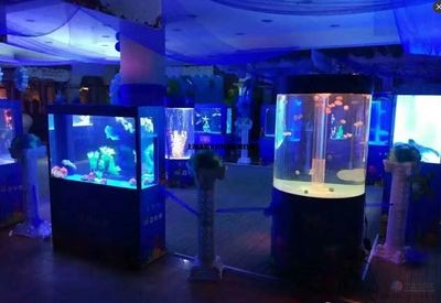 海洋魚(yú)缸展出租服務(wù)公司提供海洋生物魚(yú)缸展出租服務(wù)：提供海洋魚(yú)缸展出租服務(wù)的公司